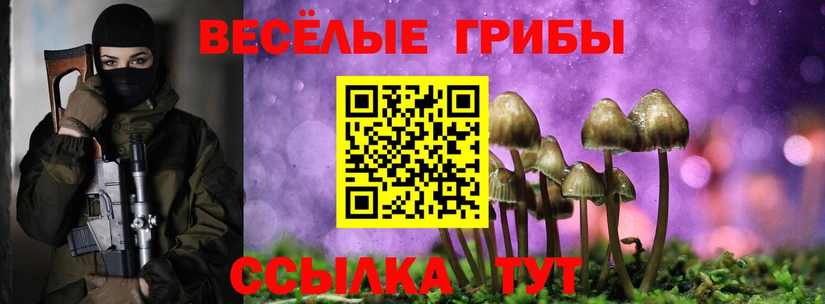 где продают   Вход с VPN  Ачхой-Мартан  Галлюциногенные грибы прущие грибы 